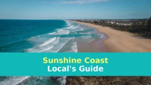 aerial view of beach during daytime