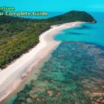 green trees beside blue sea during daytime
