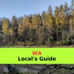 A river flows through the forest landscape.