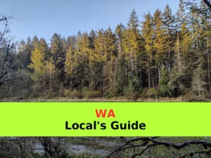 A river flows through the forest landscape.