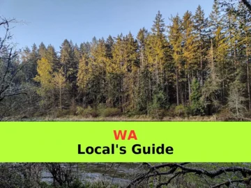 A river flows through the forest landscape.