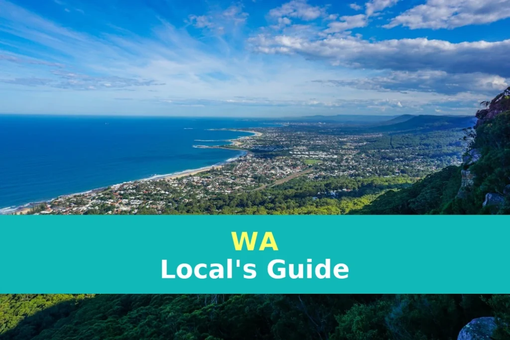 green grass field near body of water during daytime