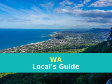 green grass field near body of water during daytime