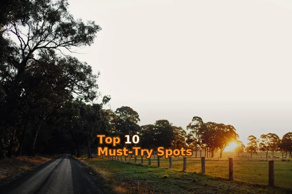 green grass field with trees during daytime