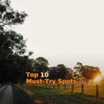green grass field with trees during daytime
