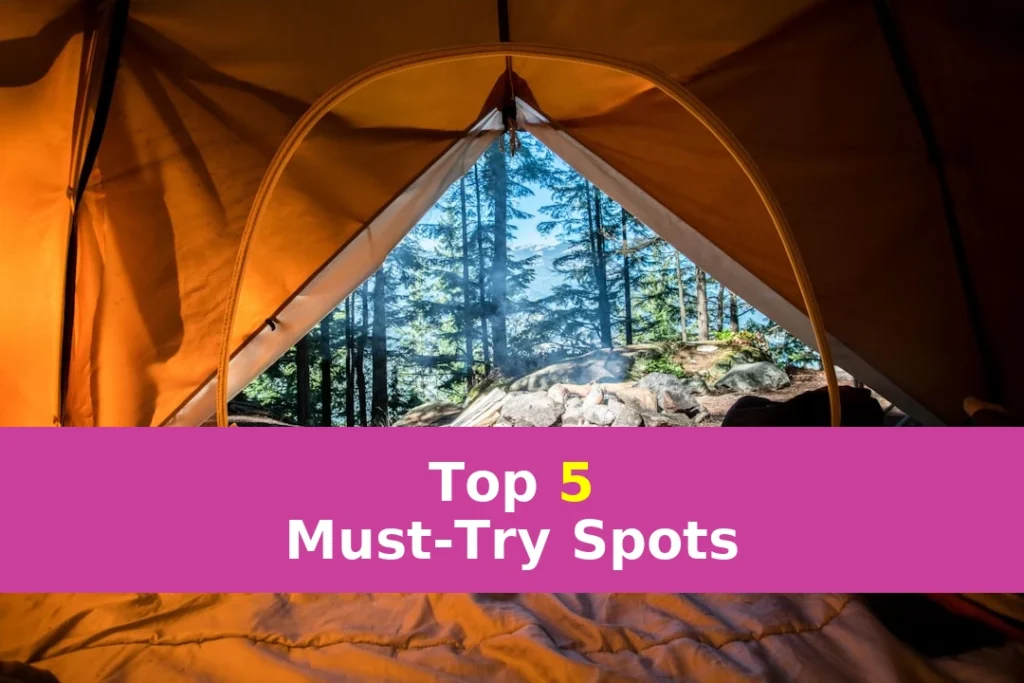 orange camping tent near green trees