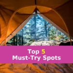 orange camping tent near green trees