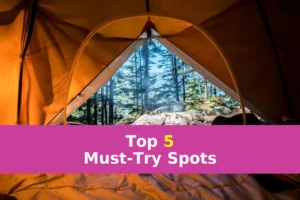 orange camping tent near green trees