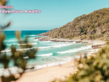 🚨 Breaking: Epic New Lookout Just Opened in Noosa!