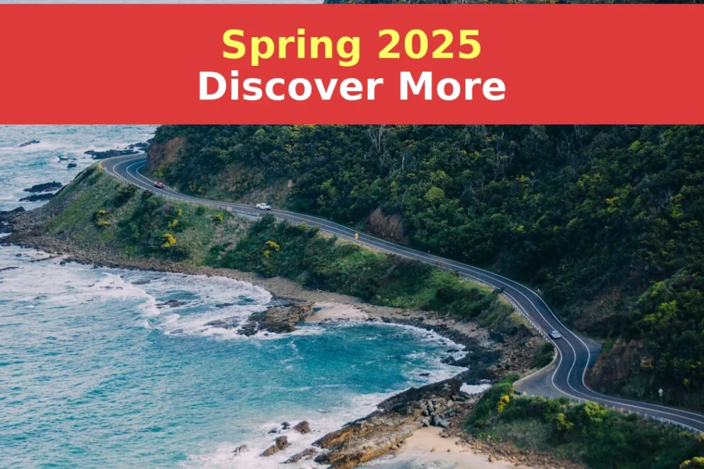 gray asphalt road beside mountain surrounded by green leafed trees during daytime