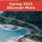 gray asphalt road beside mountain surrounded by green leafed trees during daytime