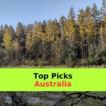 A river flows through the forest landscape.