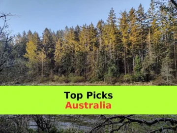 A river flows through the forest landscape.