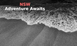 Waves crash onto a sandy beach.