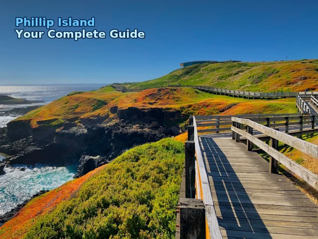 brown wooden bridge on green grass field near body of water during daytime