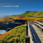 brown wooden bridge on green grass field near body of water during daytime