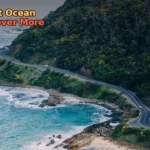 gray asphalt road beside mountain surrounded by green leafed trees during daytime