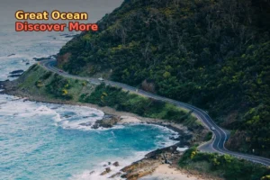 gray asphalt road beside mountain surrounded by green leafed trees during daytime