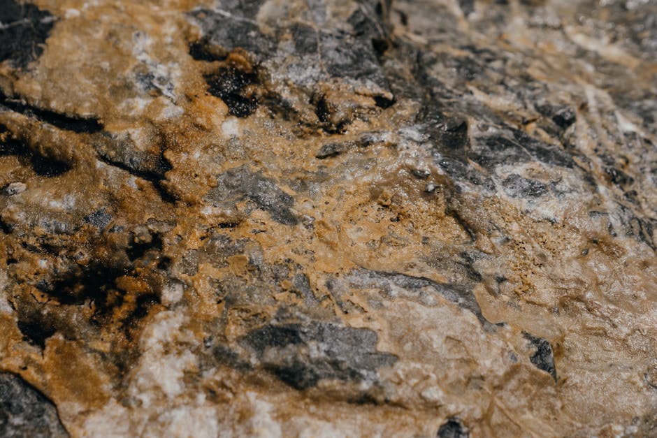 Macpac Base Layer Review: My Honest Take After 1 Year! 🔥