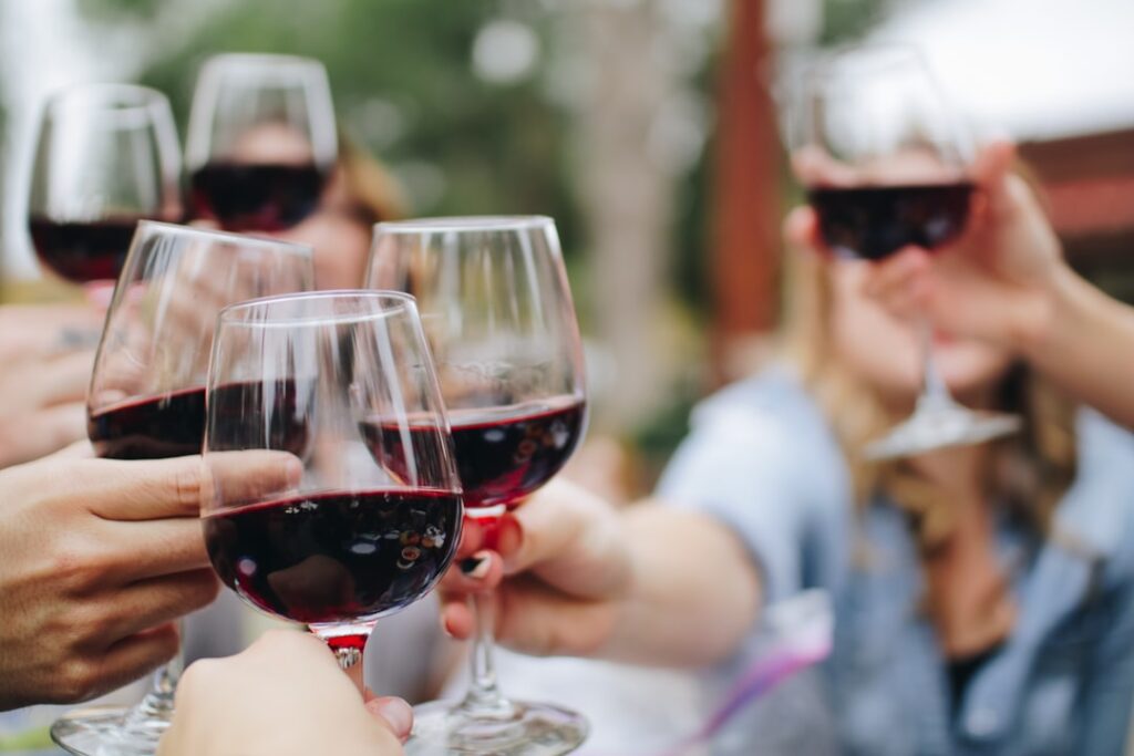 Wine Tasting Safety Tips! 🍷 First-Timer’s Guide to Blue Mountains!