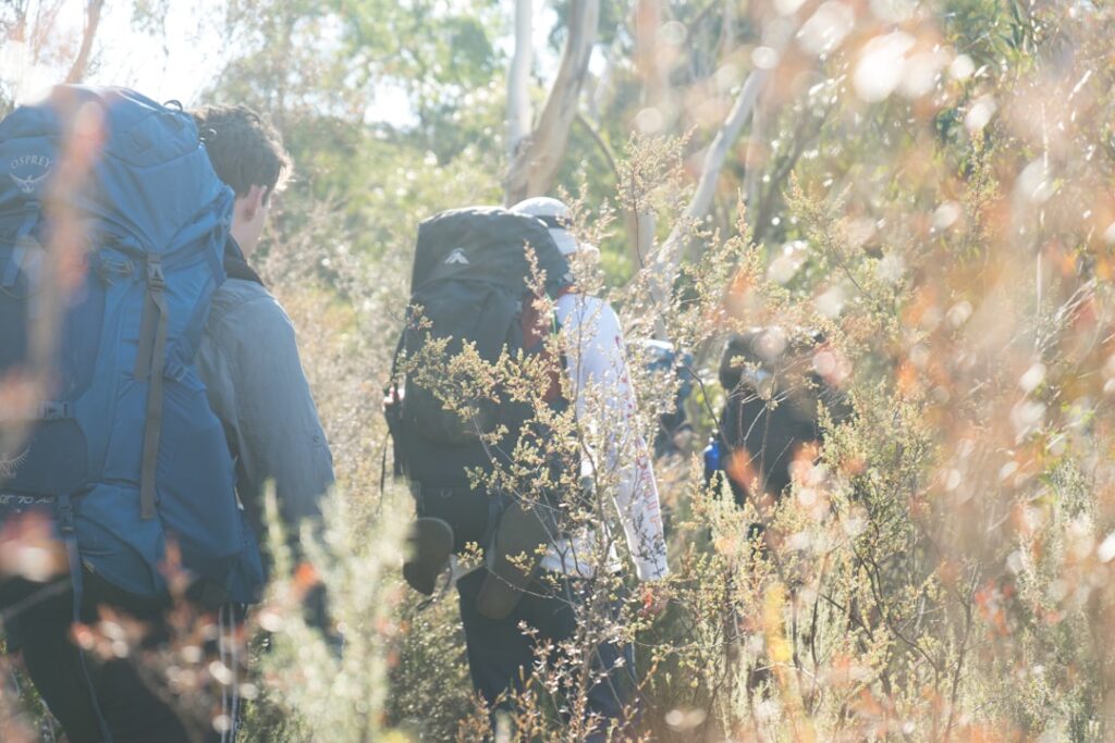 The Ultimate Australian Bushwalking Guide | Tips, Locations & More