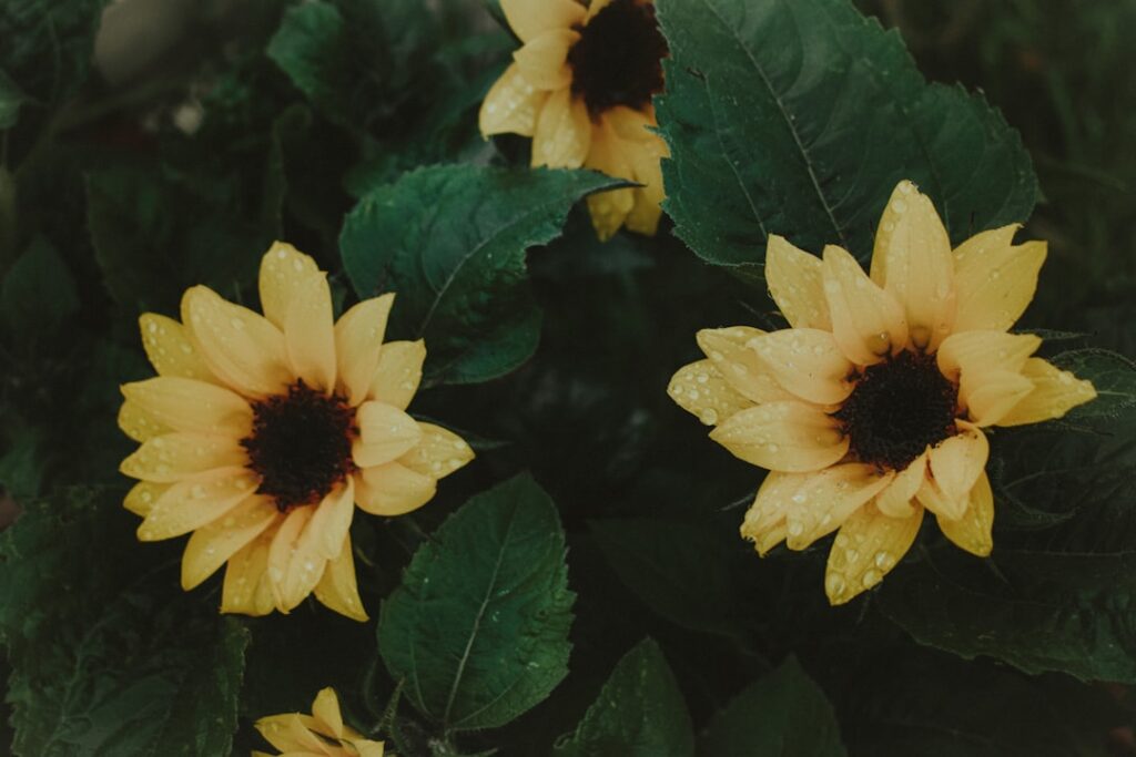 NSW Beach Fitness Guide: 15 Best Locations