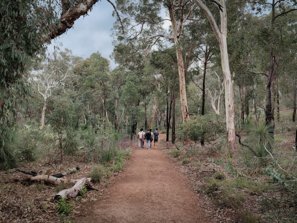 The Ultimate Australian Bushwalking Guide | Tips, Locations & More