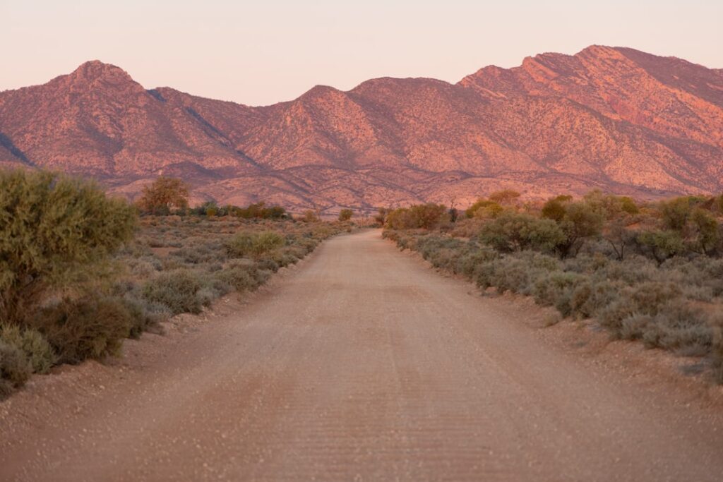 Secret Spots in Flinders Ranges: 10 Hidden Gems You Won’t Find in Guidebooks! 🤫