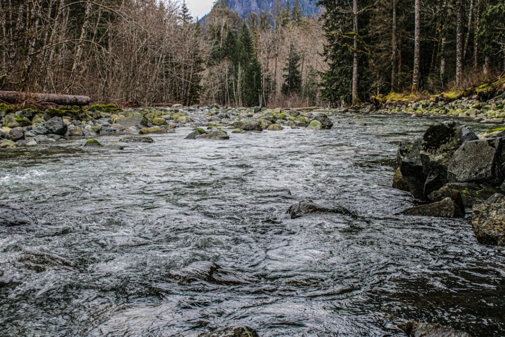 How to Plan Bushwalking in Northern Rivers | Step-by-Step