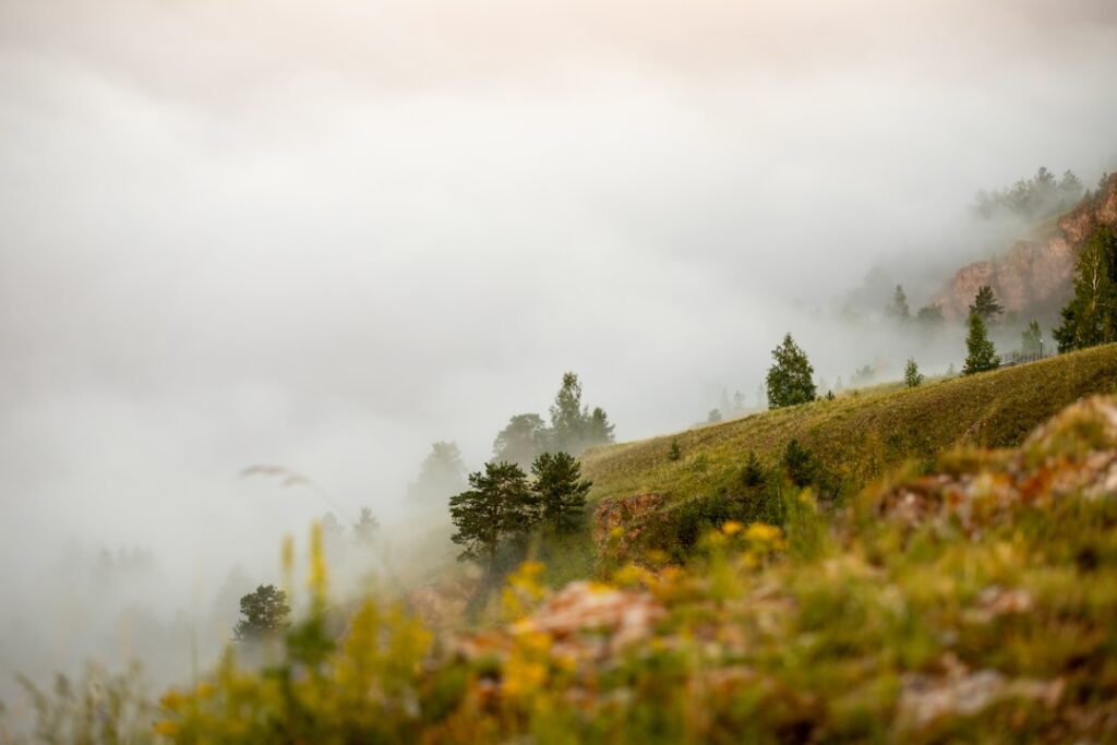 Top 7 Bushwalking Boots in Blue Mountains – Tested & Ranked! 🥾