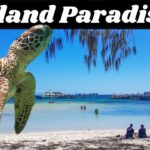 🎣 Ever wondered what it's like to cast a fly rod on the Great Barrier Reef? Don't stress - I've got you covered! 🌊