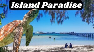 🎣 Ever wondered what it's like to cast a fly rod on the Great Barrier Reef? Don't stress - I've got you covered! 🌊