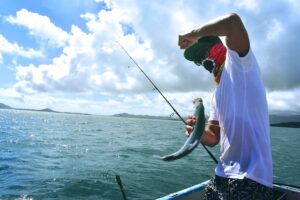 Fees for Deep Sea Fishing in Australia | Complete Guide