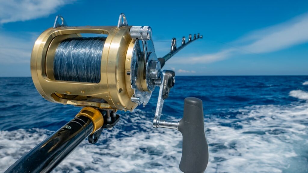 Fees for Deep Sea Fishing in Australia | Complete Guide