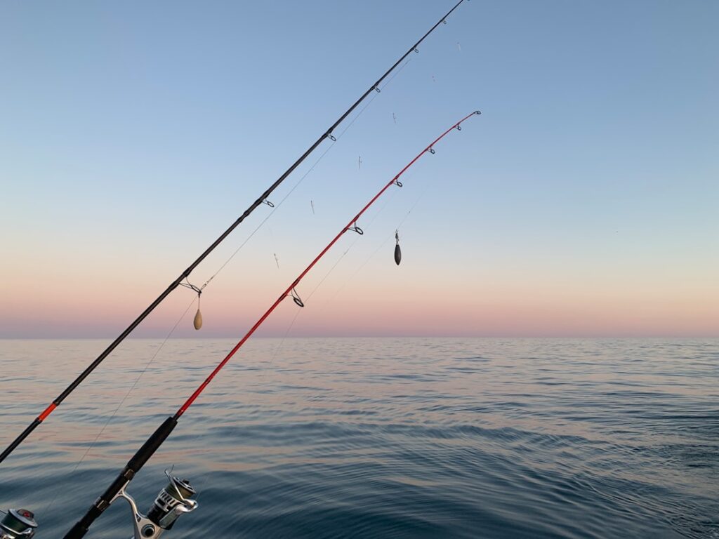 Fees for Deep Sea Fishing in Australia | Complete Guide