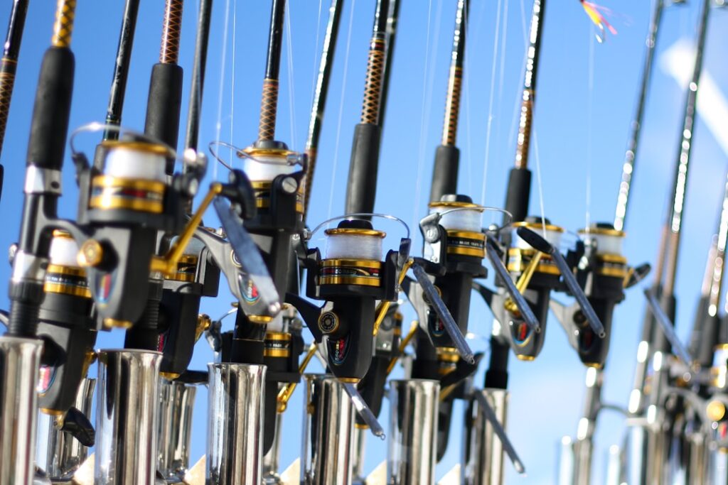 Fees for Deep Sea Fishing in Australia | Complete Guide