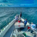 people riding on white boat during daytime