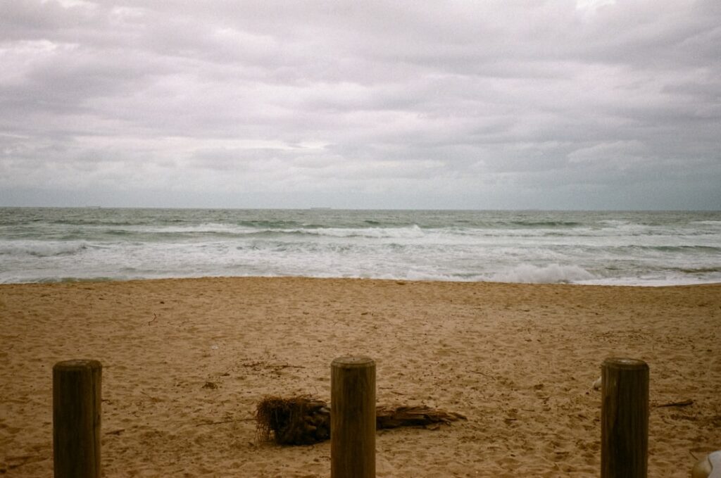 🏖️ My top 12 picks for South Coast NSW adventures – ranked!